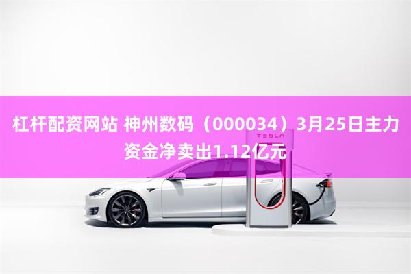 杠杆配资网站 神州数码（000034）3月25日主力资金净卖出1.12亿元