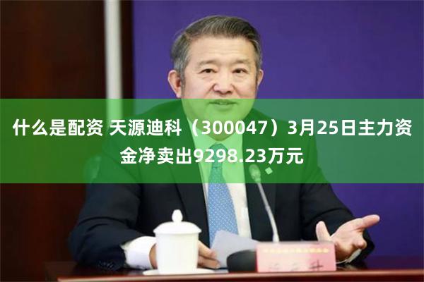 什么是配资 天源迪科（300047）3月25日主力资金净卖出9298.23万元