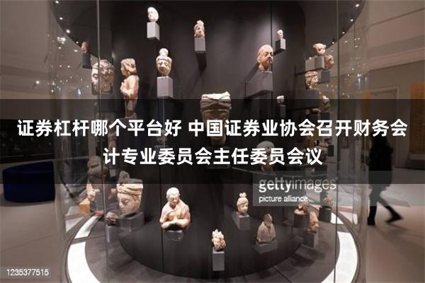 证券杠杆哪个平台好 中国证券业协会召开财务会计专业委员会主任委员会议