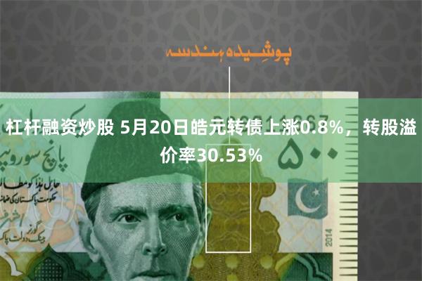 杠杆融资炒股 5月20日皓元转债上涨0.8%，转股溢价率30.53%