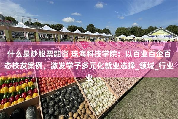 什么是炒股票融资 珠海科技学院：以百业百企百态校友案例，激发学子多元化就业选择_领域_行业