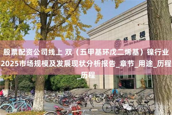 股票配资公司线上 双（五甲基环戊二烯基）镍行业2025市场规模及发展现状分析报告_章节_用途_历程