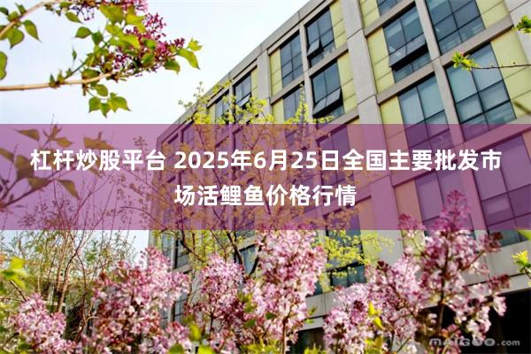 杠杆炒股平台 2025年6月25日全国主要批发市场活鲤鱼价格行情